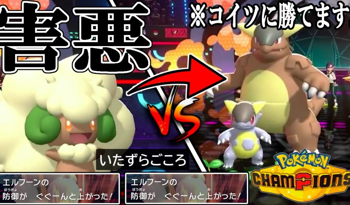 今の環境で「エルフーン」が輝ける方法を見つけました。こいつまだいけます。【Pokémon Champions】【ポケモンチャンピオンズ】