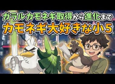 ガラルカモネギ取得から進化までカモネギ大好きな小5