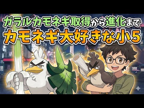 ガラルカモネギ取得から進化までカモネギ大好きな小5
