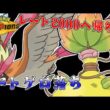 メガピジョット先生におんぶにだっこしてもらう【Pokémon Champions】