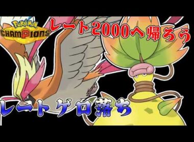 メガピジョット先生におんぶにだっこしてもらう【Pokémon Champions】