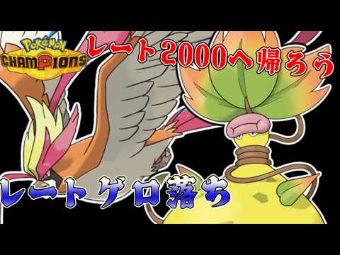 メガピジョット先生におんぶにだっこしてもらう【Pokémon Champions】