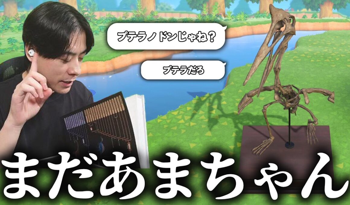これをプテラと言うならまだ甘ちゃん ＃４【あつまれ どうぶつの森】