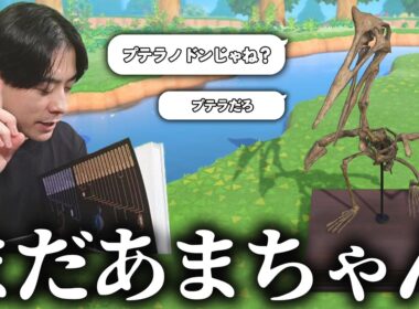 これをプテラと言うならまだ甘ちゃん ＃４【あつまれ どうぶつの森】