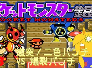 レディアンと輝きたいポケモン銀#3「激突！二色パンチVS爆裂パンチ」