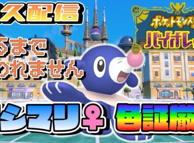 アシマリ♀色証出るまで終われません！【ポケモンSV】