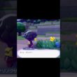 ぽこあポケモン ナゾノクサ マダツボミ会話