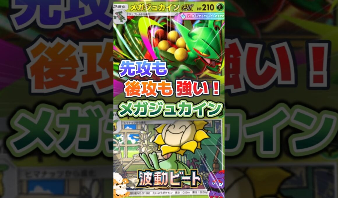 【先攻も後攻も強い！】メガジュカイン×キマワリデッキ｜Mega Sceptile & Sunflora Deck【ポケポケ】