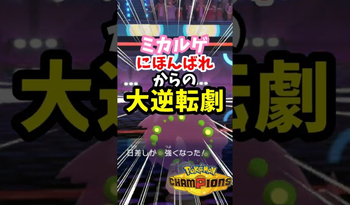 【マイナーポケモン紹介】にほんばれ発動はミカルゲでやりましょう #ポケモン#ポケモンチャンピオンズ #shorts