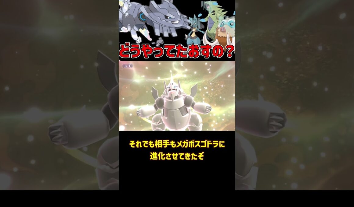 物理では絶対突破不可能な メガハガネール