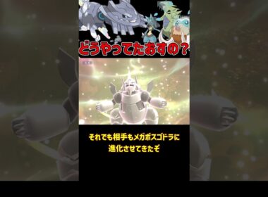 物理では絶対突破不可能な メガハガネール