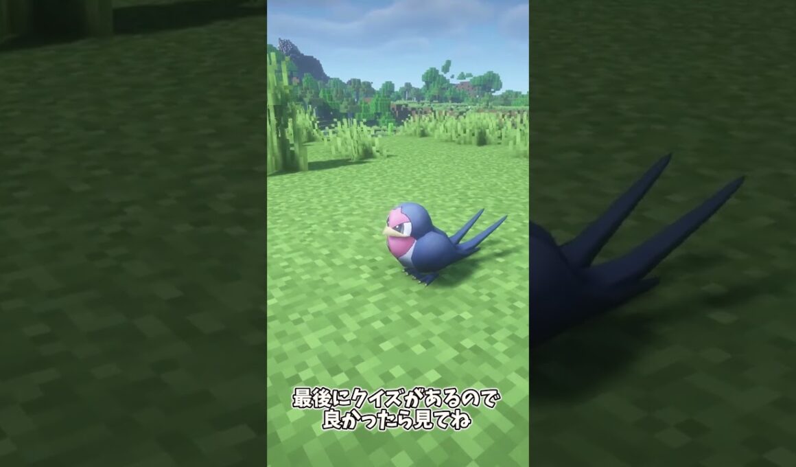 【ポケモンクイズ】サナギラス　スバメ　ピカチュウ　懐かしいポケモンクイズ　  #マイクラ #pokemon  #ポケモン