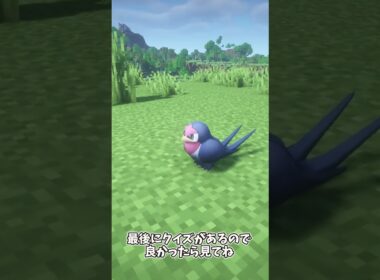 【ポケモンクイズ】サナギラス　スバメ　ピカチュウ　懐かしいポケモンクイズ　  #マイクラ #pokemon  #ポケモン