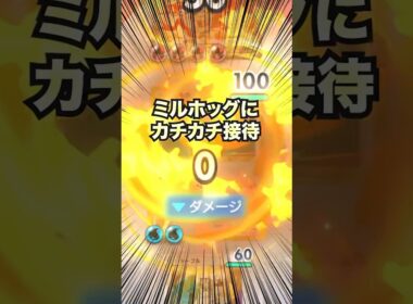 【ポケポケ】メガリザとミルホッグにカチカチ接待【最強デッキ】#shorts #ポケポケ #ポケモン
