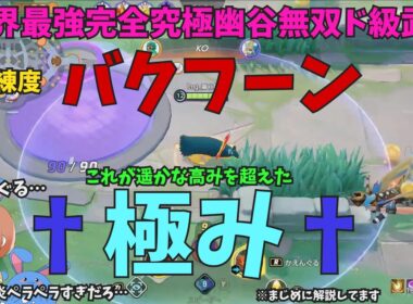 これがバクフーンの極み！頭がおかしくなるほどやり込んだ人が徹底解説！の巻【ポケモンユナイト】【詳細解説1144】