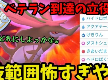 【ポケモンGO】誰にも刺さらなそうで誰にでも刺さる事実を持つドラミドロこそファンタジーの王やろ？【ファンタジーカップ】