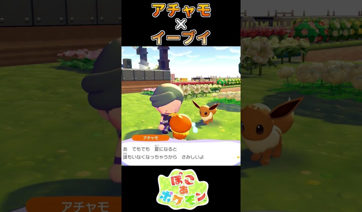 【ぽこあポケモン】 言葉の切れ味が鋭いアチャモ【ポケモン】