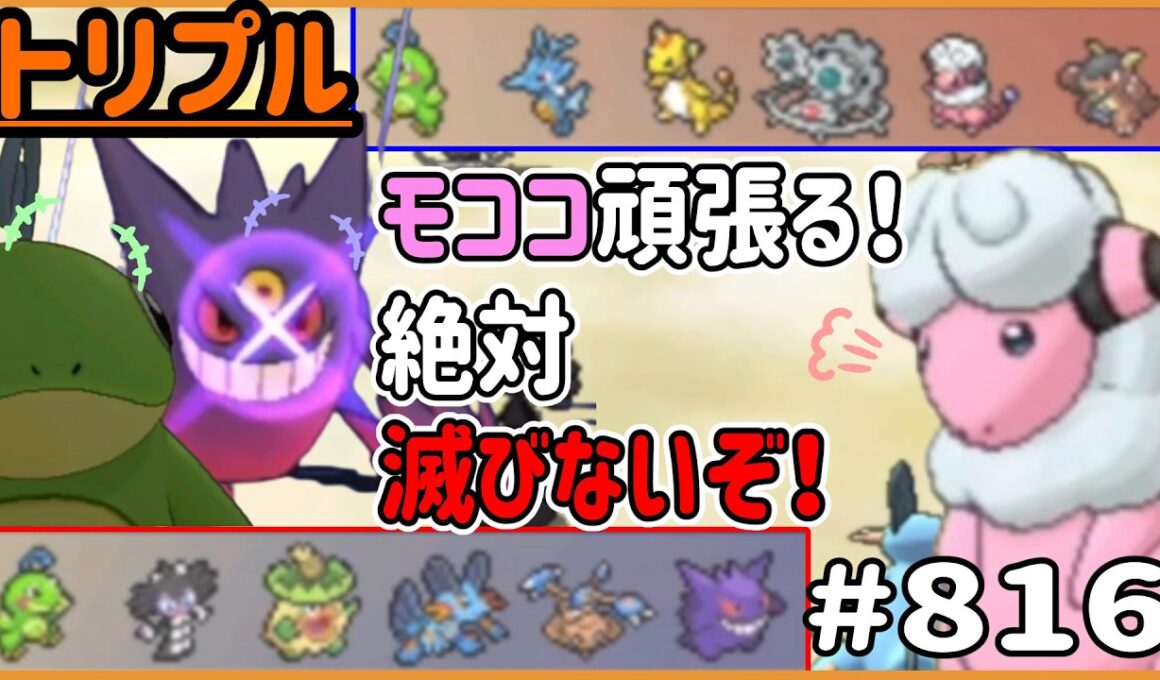 モココの行動が刺さる！？！絶対に滅びないぞ～！！【トリプルバトル　#816】