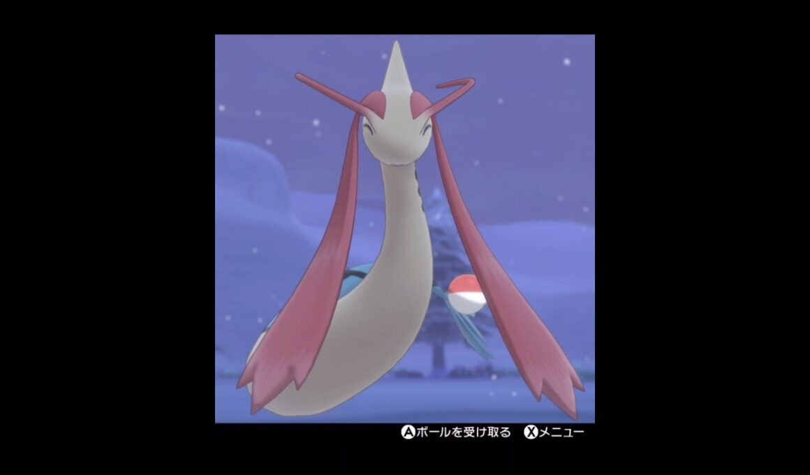 ミロカロス様とボール遊びMilotic♪　#pokemonswordshield #ポケモン剣盾