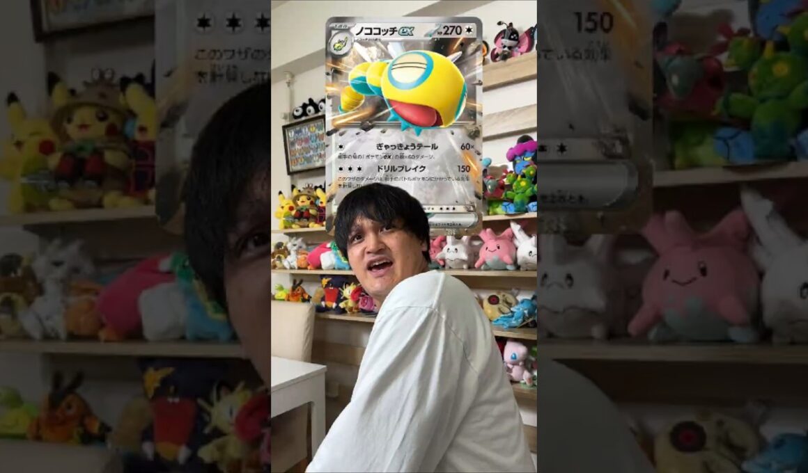 【ポケカ】最近のノコッチ、こんな感じ。 #ポケカ #ポケモンカード #pokemon