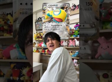 【ポケカ】最近のノコッチ、こんな感じ。 #ポケカ #ポケモンカード #pokemon