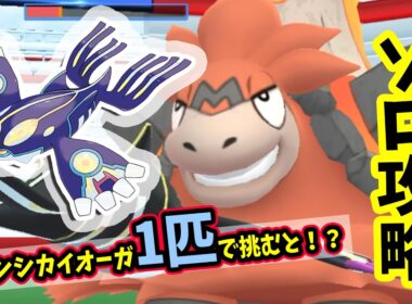 【ポケモンGO】圧倒的ソロ攻略！メガバグーダレイドをゲンシカイオーガ1匹だけで水タイプ技で弱点をついて対策して1人討伐！