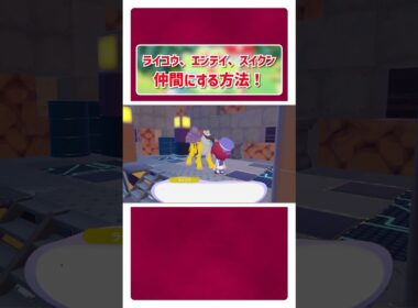 ライコウ、エンテイ、スイクンを仲間にする方法！【 ぽこ あ ポケモン 】 #shorts