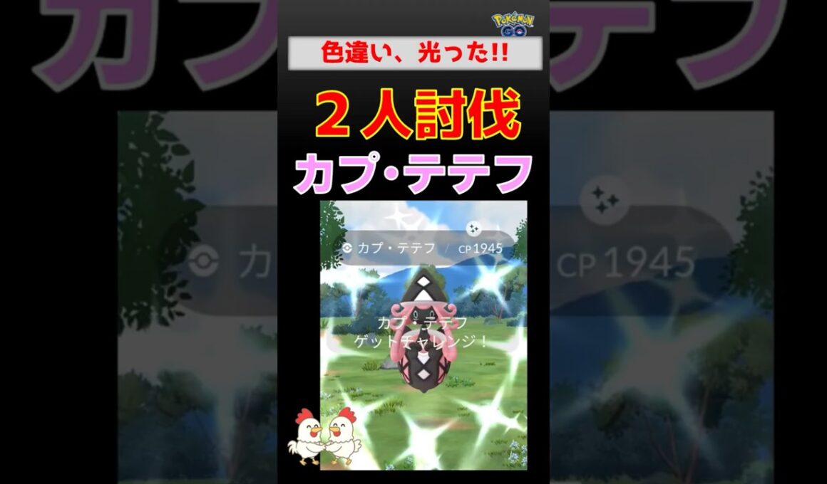 色違い！【カプ・テテフ、2人討伐】光りました