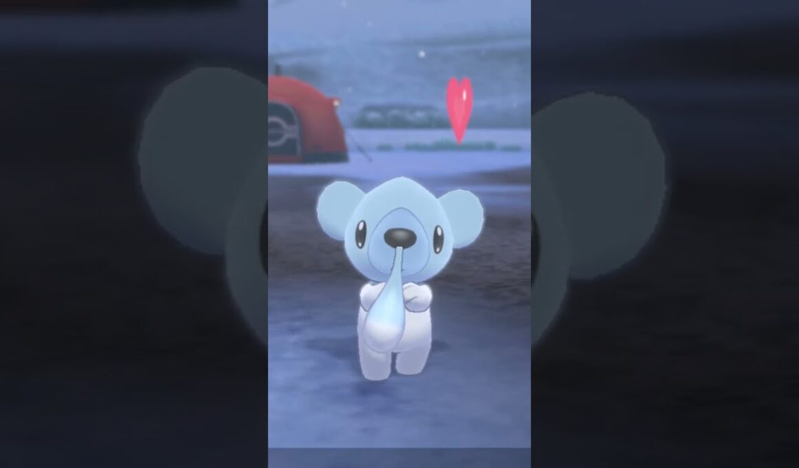 クマシュン Cubchoo【ポケモン剣盾】