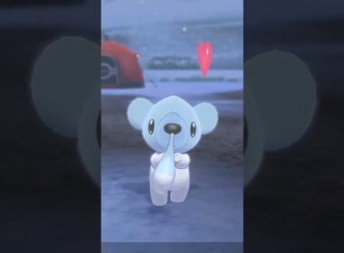 クマシュン Cubchoo【ポケモン剣盾】