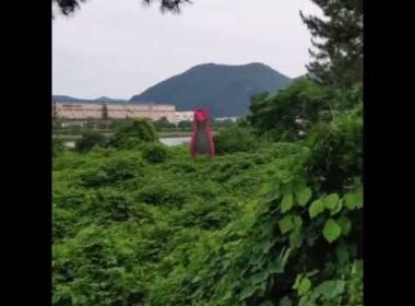 펜드라 ( Scolipede ) ペンドラー ( 蜈蚣王 )