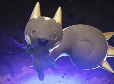 What the Pachirisu doing