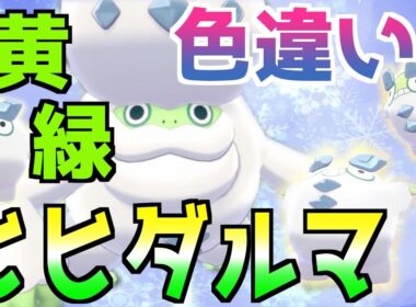 【ポケモン剣盾色違い】#6 黄緑ヒヒダルマ出して色違いパーティー完成させてみた【国際孵化マラソン】
