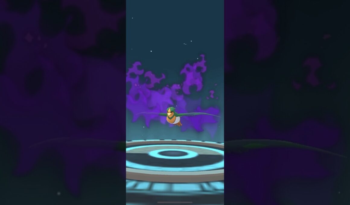 色違いシャドウオオスバメ系統 進化演出【ポケモンGO】
