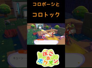 コロボーシとコロトック 特殊掛け合い【ぽこポケ】#shorts #Pokemon #ぽこあポケモン