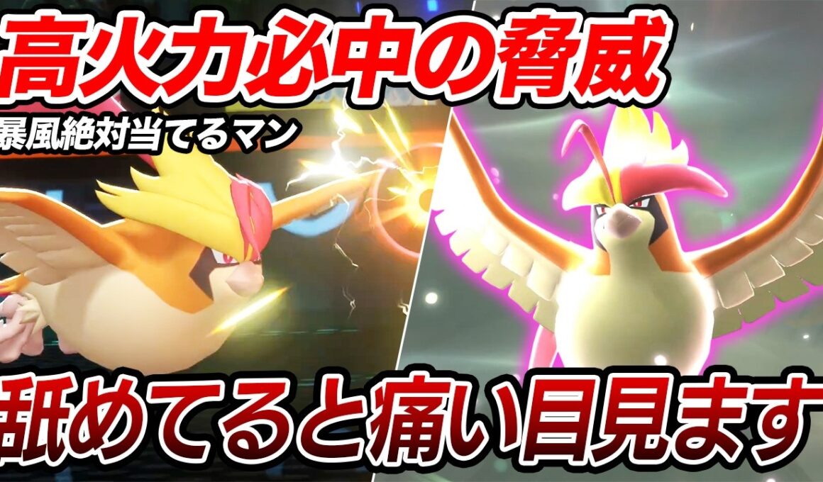 ポケモン界で最強技"ぼうふう"を無限に当てられるメガピジョットが強すぎたｗｗｗ【ポケモンチャンピオンズ】【ポケチャン】【Pokémon Champions】【ランクマッチ】