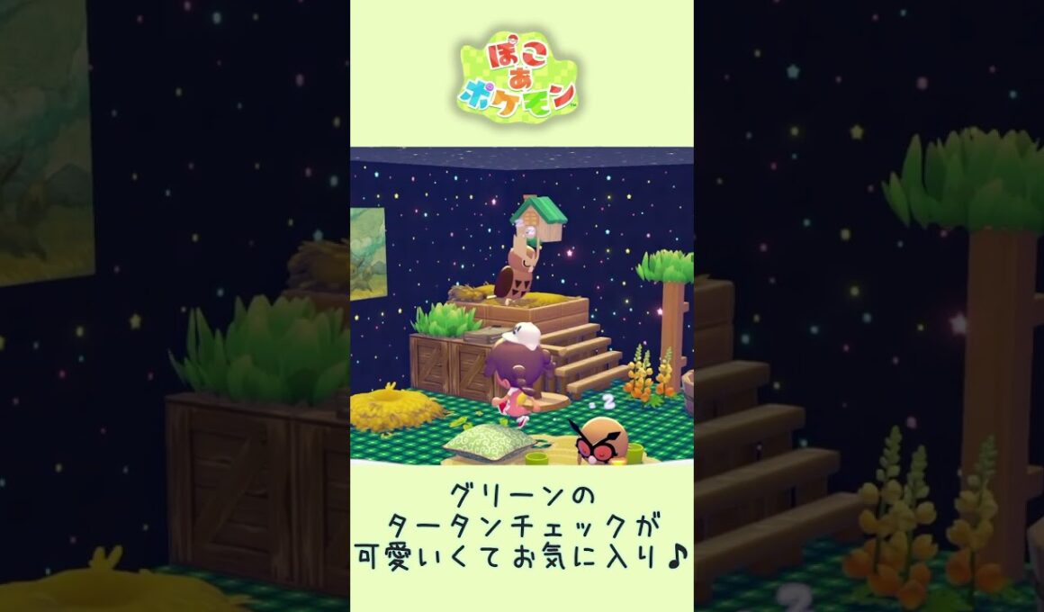 【ぽこあポケモン】ホーホーとヨルノズクの部屋🦉