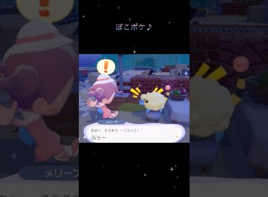 ぽこポケ♪  メリープ　イトマル