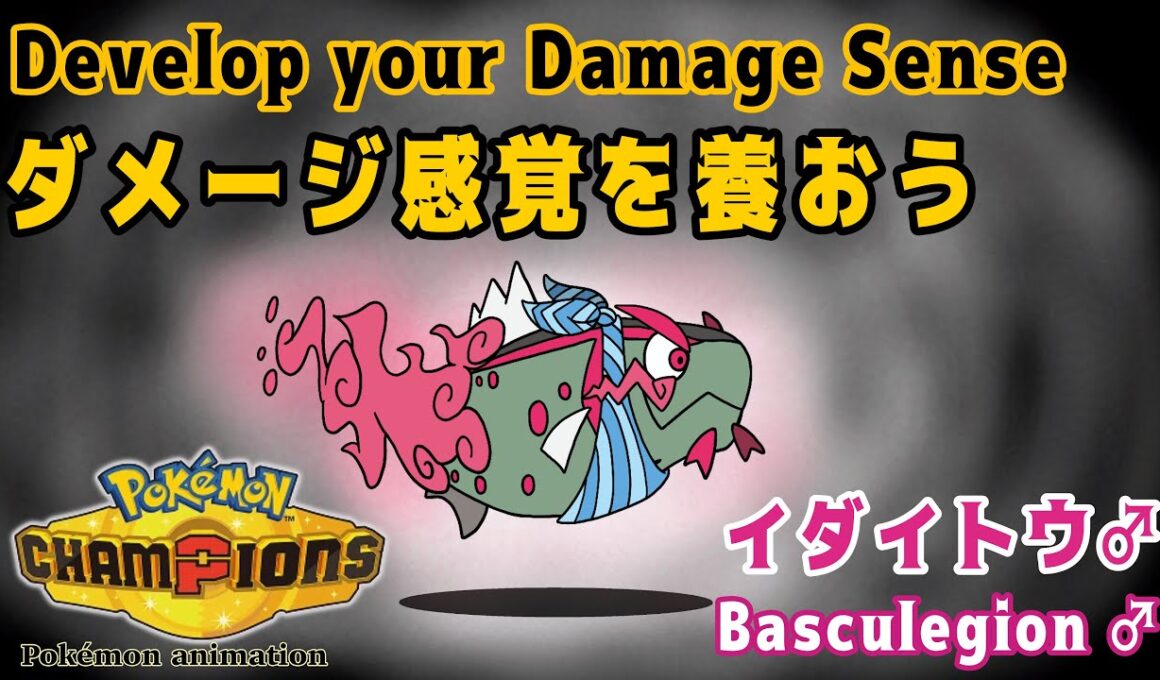 【ポケモンチャンピオンズ】ダメージ感覚を養おう！：イダイトウ♂編