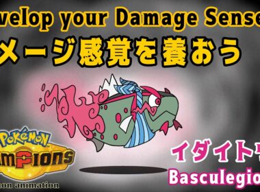 【ポケモンチャンピオンズ】ダメージ感覚を養おう！：イダイトウ♂編