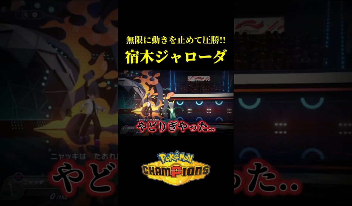 ド素人が考えた最強のジャローダｗｗ【Pokémon Champions】
