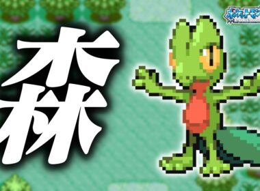 キモリLv.5で冒険始めたらルビサファはキツい？ヌルい？