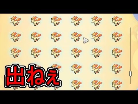 ポケモン ピカブイ ギャロップ地獄で色違いを狙いたい放送枠