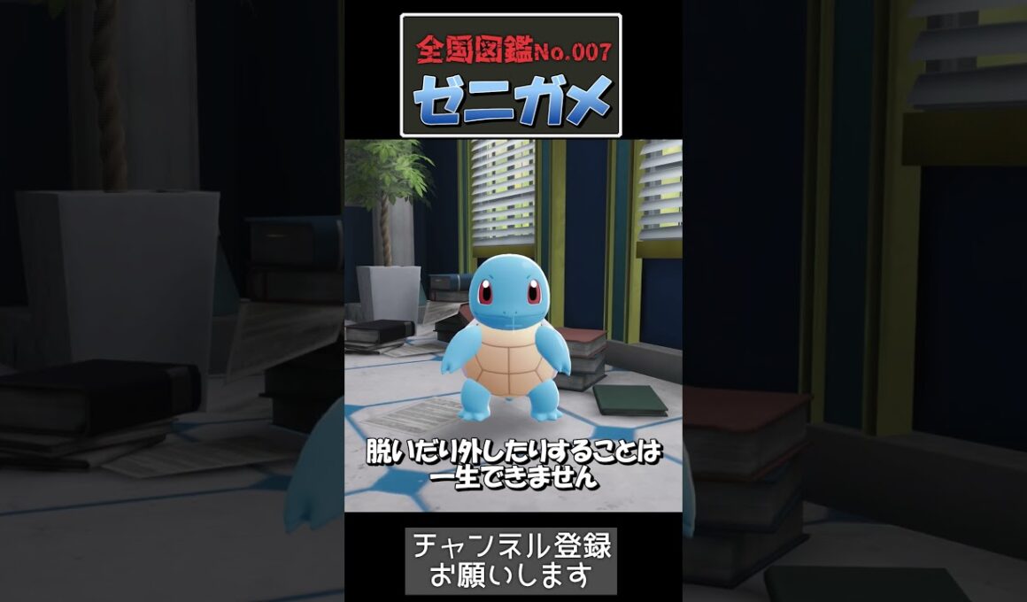 ゼニガメの甲羅——実は肋骨が変化したものです【ポケモン生態】#ポケモン  #ゼニガメ#ポケモン考察  #ポケモン生態#御三家#カントー地方  #ポケモンza  #ポケモンショート #shorts