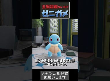 ゼニガメの甲羅——実は肋骨が変化したものです【ポケモン生態】#ポケモン  #ゼニガメ#ポケモン考察  #ポケモン生態#御三家#カントー地方  #ポケモンza  #ポケモンショート #shorts