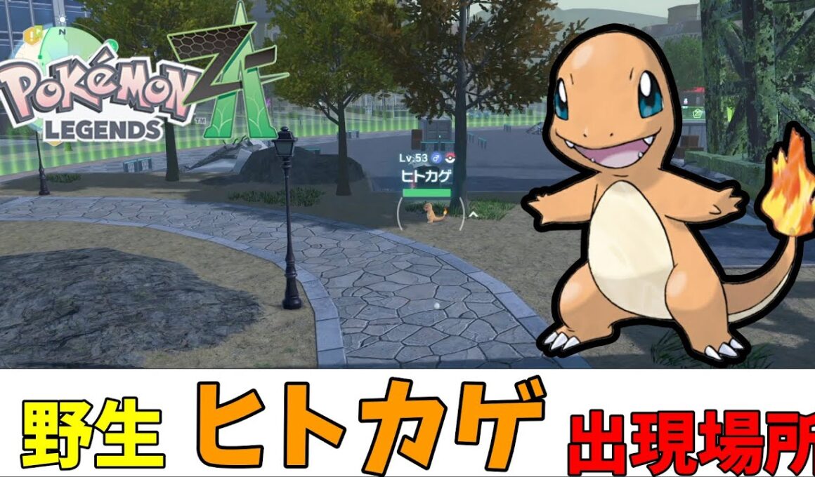【ポケモンZA】野生のヒトカゲ出現場所（ストーリークリア後）