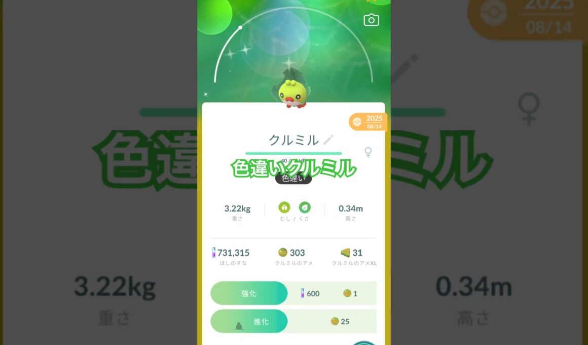 【ポケモンGO】色違いクルミル進化させるぜ！