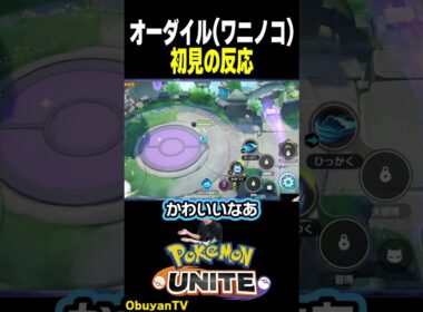 【オーダイル】新ポケ実装！よちよち歩きがかわいいｗｗ #ポケモン  #shorts