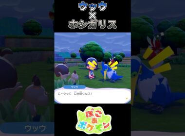 【ぽこあポケモン】 ホシガリス、ウを噛む【ポケモン】