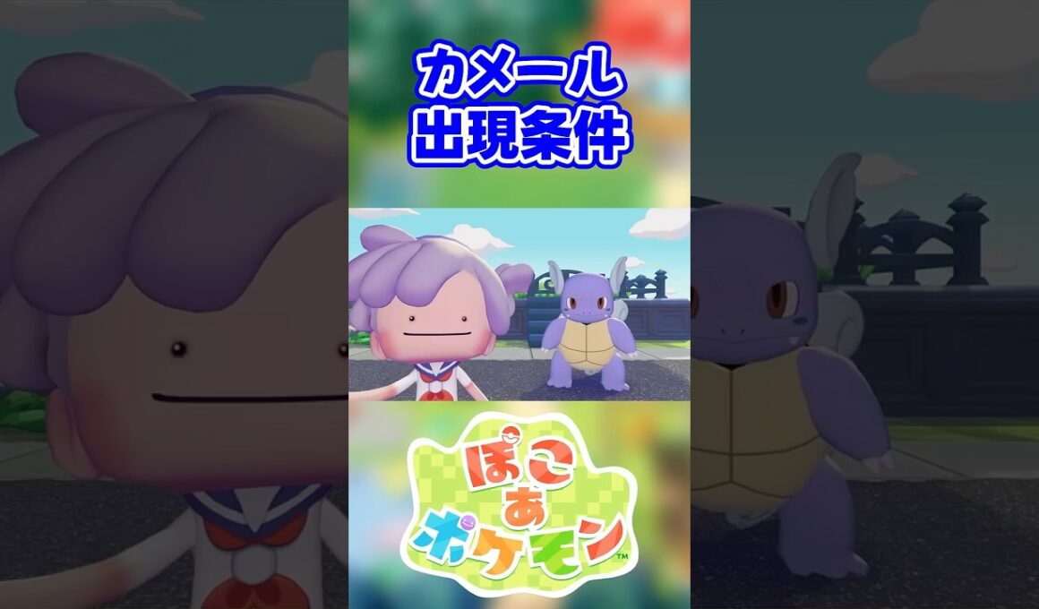 【ぽこあポケモン】カメールの出現条件を徹底解説！#shorts